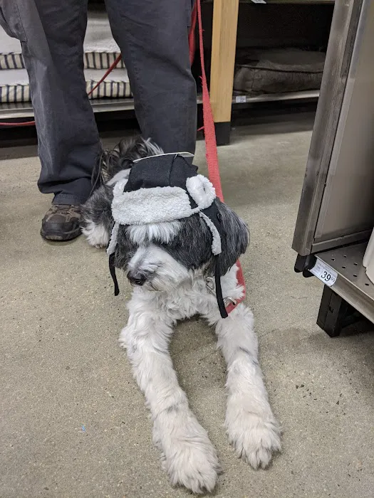 Petco Picture 9