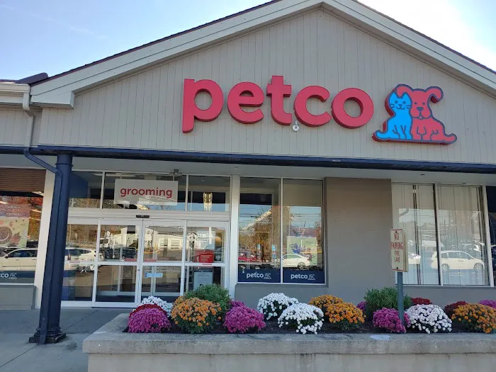 Petco Picture 8