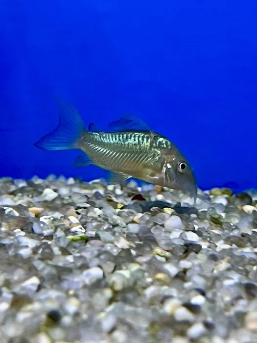 The Hidden Reef, Inc Picture 3