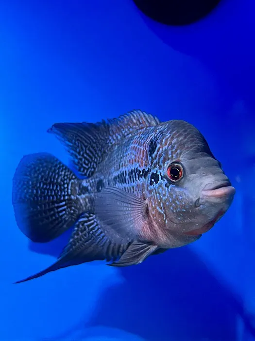 The Hidden Reef, Inc Picture 9