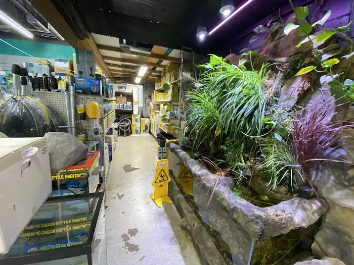 Fish Factory Picture 3