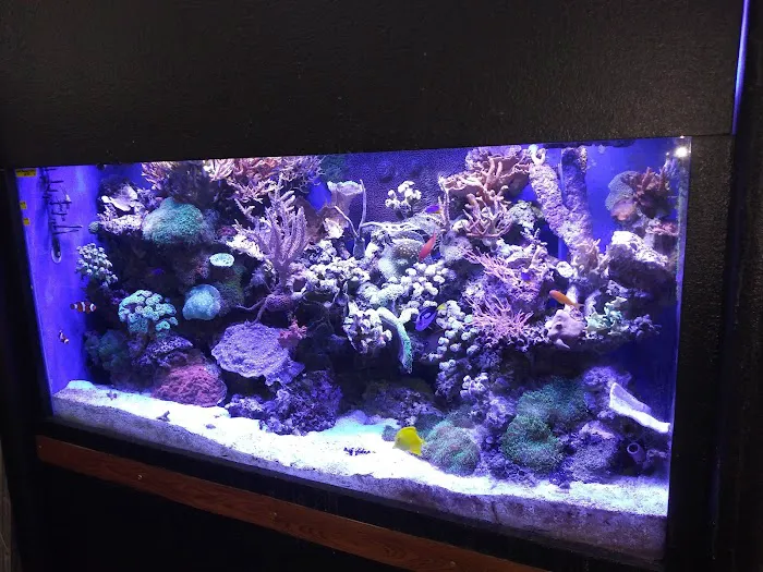 Fish Factory Picture 5