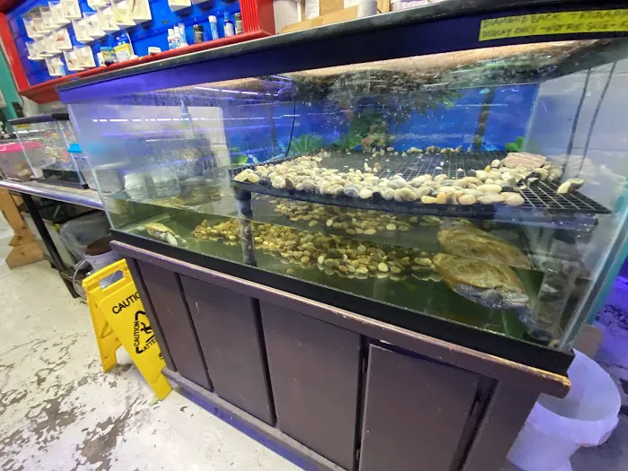 Fish Factory Picture 7