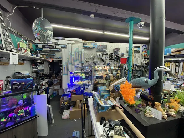 Fish Factory Picture 6