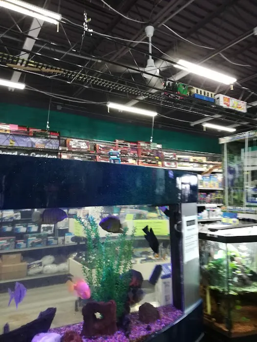 Fish Factory Picture 9