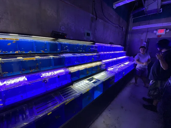 Fish Factory Picture 10