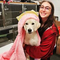 Valley Veterinary Center of Holicong ico