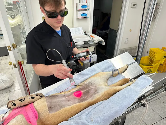 Valley Veterinary Center of Holicong Picture 3