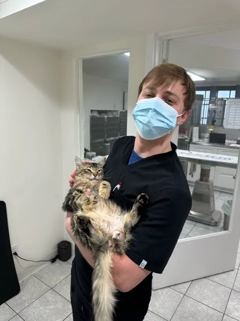 Valley Veterinary Center of Holicong Picture 9