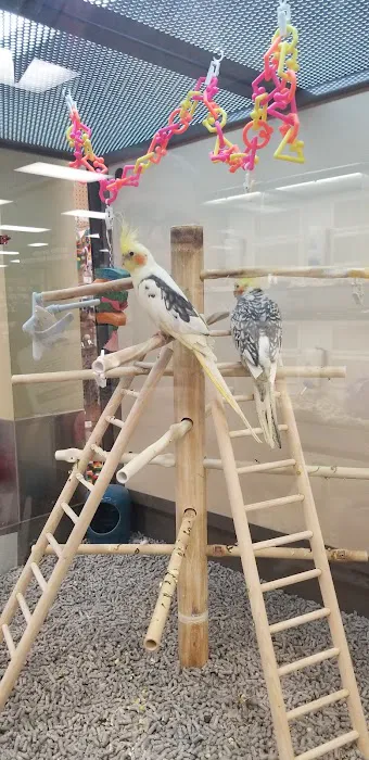 Petco Picture 3