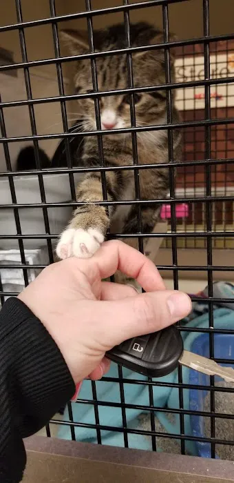 Petco Picture 7