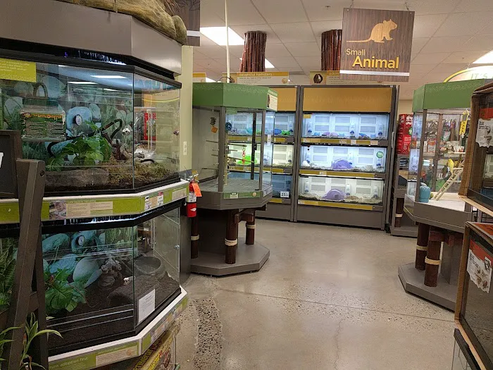 Petco Picture 8