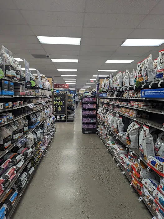 Petco Picture 9