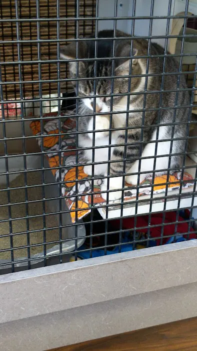 Petco Picture 10