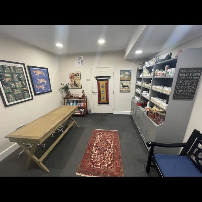 Dr. Karen Collins, VMD, LLC - Holistic Pet Healing - Souderton Picture 3