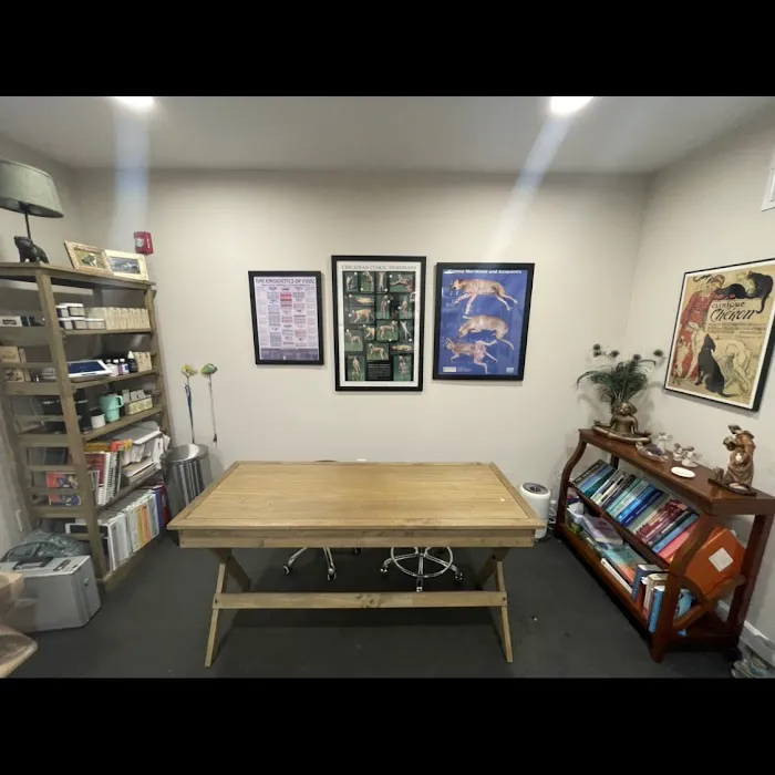 Dr. Karen Collins, VMD, LLC - Holistic Pet Healing - Souderton Picture 5