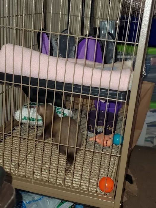 Precious Pets III Picture 1