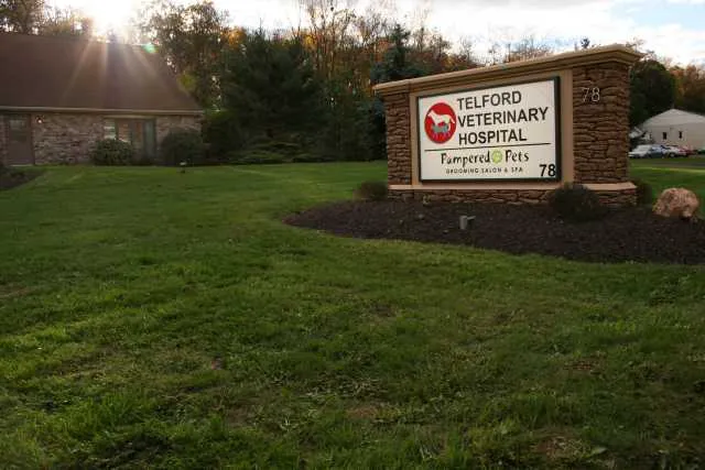Telford Veterinary Hospital Picture 4