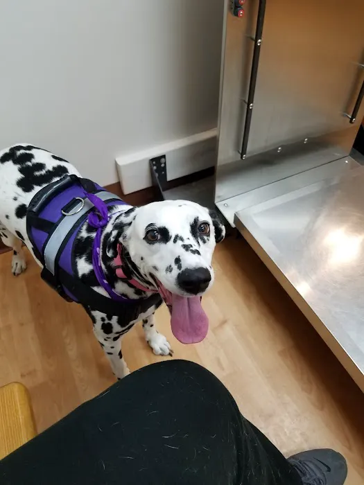 Telford Veterinary Hospital Picture 6
