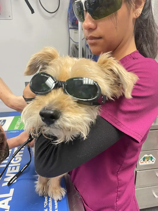 Telford Veterinary Hospital Picture 10