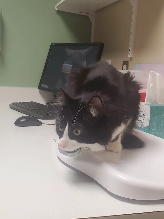 Indian Valley Animal Hospital Picture 2