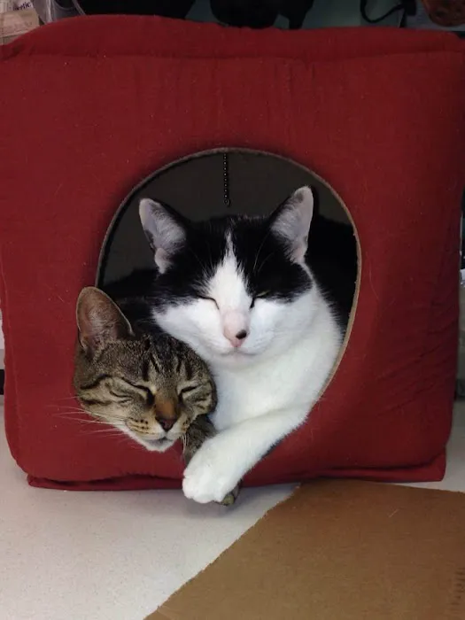 Indian Valley Animal Hospital Picture 4