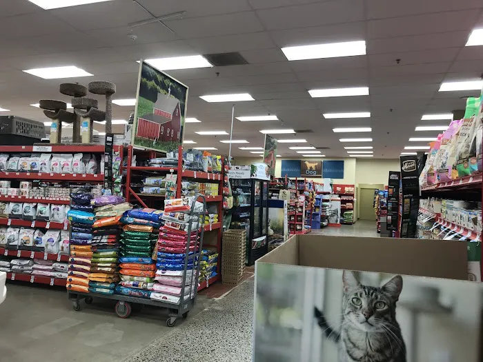 Petco Picture 2