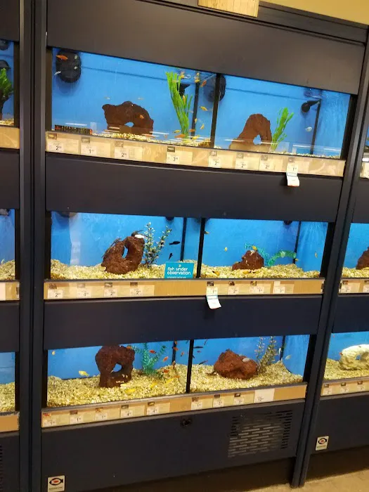 Petco Picture 4