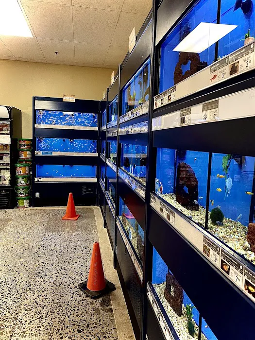 Petco Picture 9