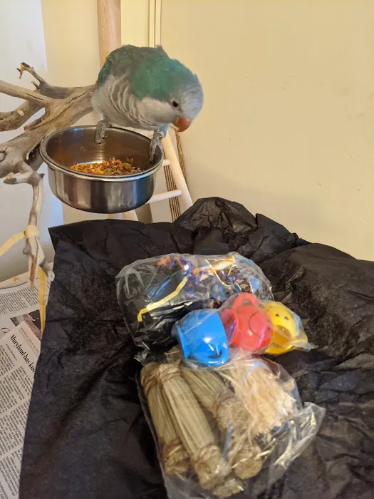 My Safe Bird Store Picture 8
