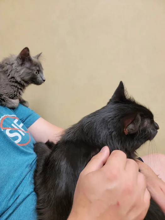 Harleysville Veterinary Hospital Picture 6