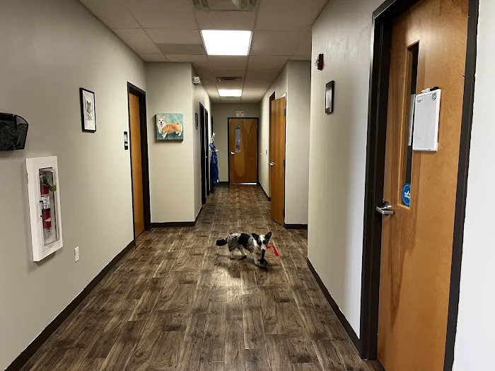 Viking Veterinary Services Picture 4