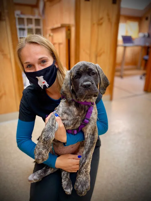 Tabernacle Animal Hospital Picture 2