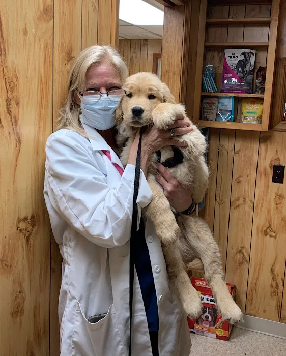 Tabernacle Animal Hospital Picture 5