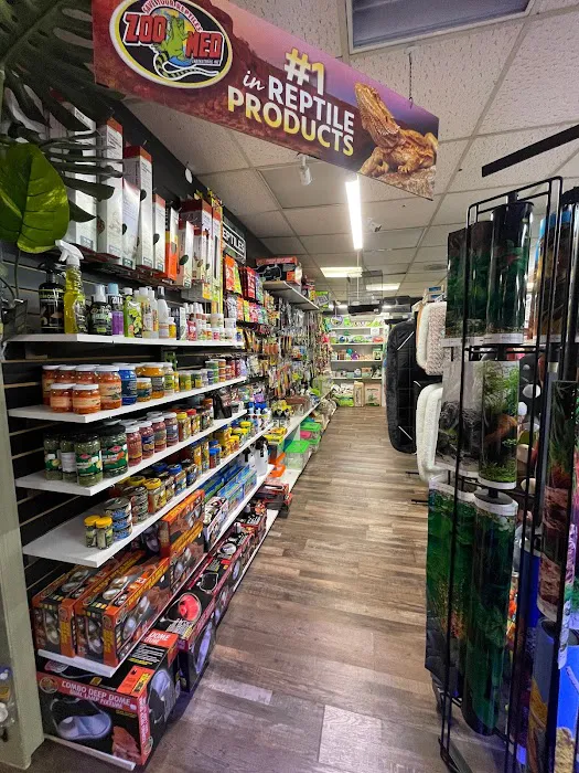 Lacey Pet Supply with Next Level Exotics Picture 7