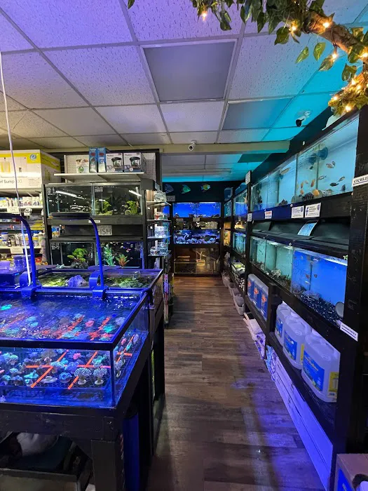 Lacey Pet Supply with Next Level Exotics Picture 8