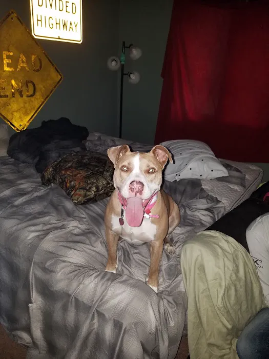 Lacey Pet Supply with Next Level Exotics Picture 10