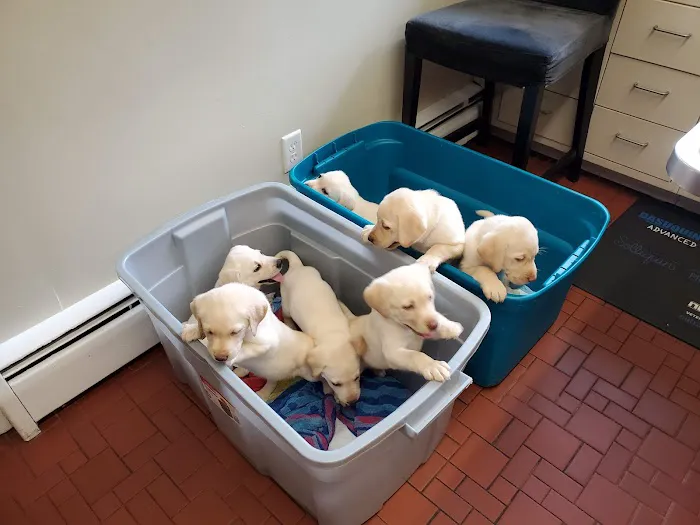Brandywine Veterinary Hospital Picture 1