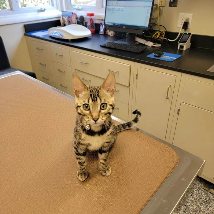 Brandywine Veterinary Hospital Picture 2