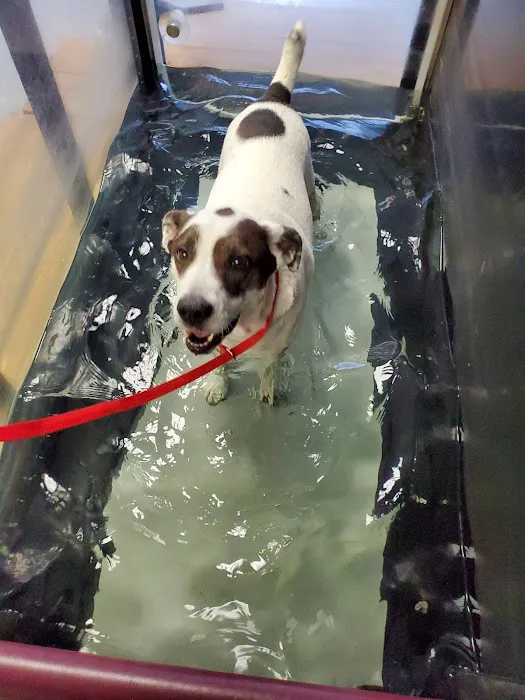 Brandywine Veterinary Hospital Picture 4