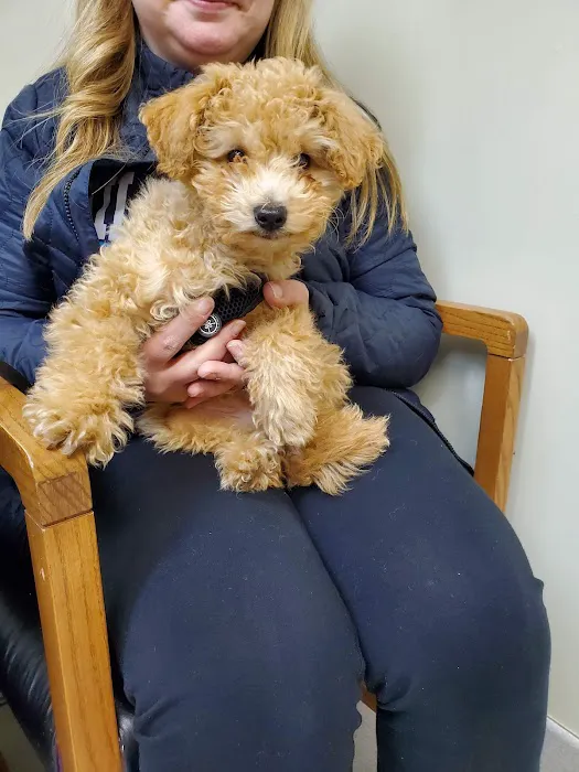 Brandywine Veterinary Hospital Picture 6