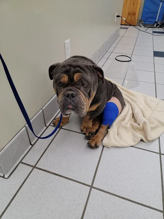 Brandywine Veterinary Hospital Picture 8