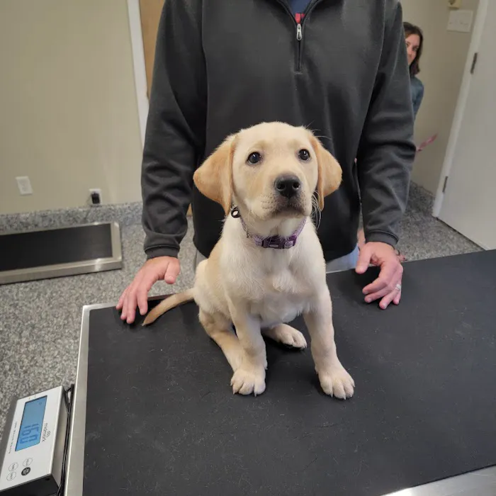 Brandywine Veterinary Hospital Picture 7