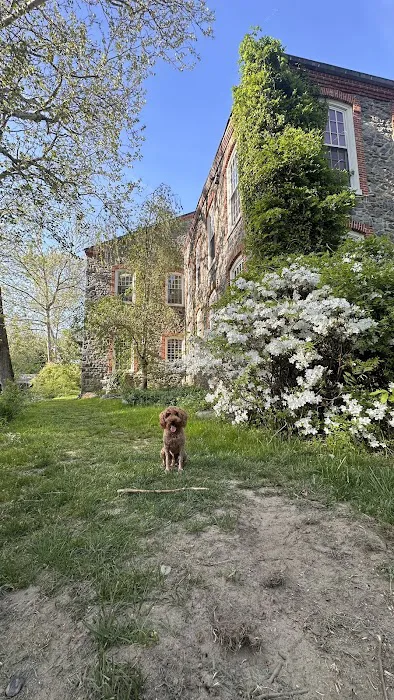 Brandywine Veterinary Hospital - Greenville Picture 6