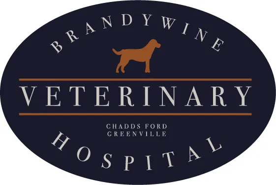 Brandywine Veterinary Hospital - Greenville Picture 9