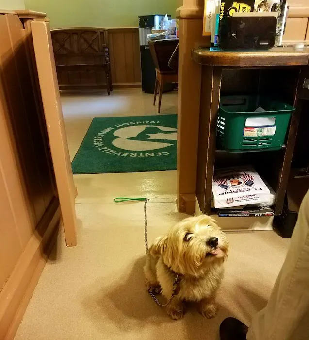 Centreville Veterinary Hospital Picture 2