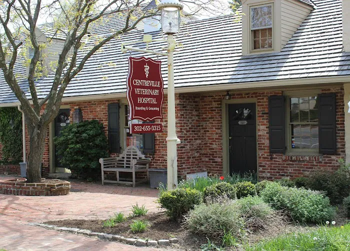 Centreville Veterinary Hospital Picture 5