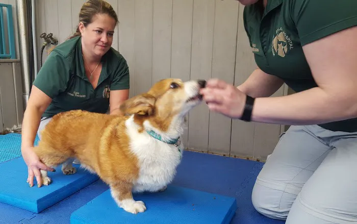 Centreville Veterinary Hospital Picture 4