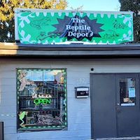 The Reptile Depot ico