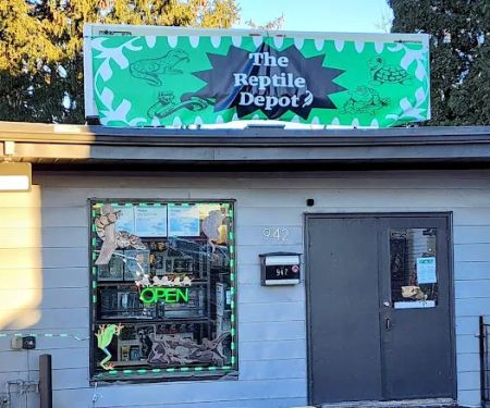 The Reptile Depot